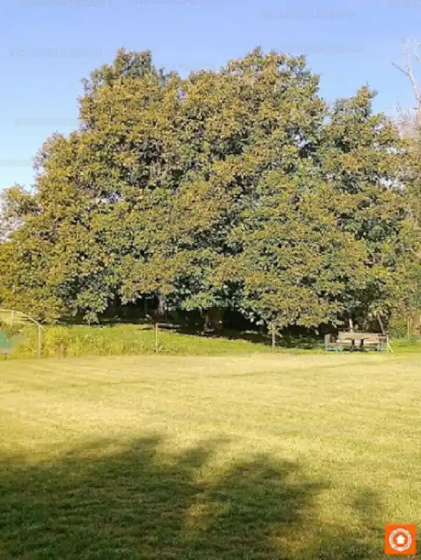 Eladó családi ház, Nadap 6 szoba 209 m² 111 M Ft