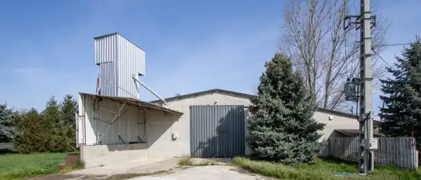 Eladó Kereskedelmi telek, Nagyszokoly 19349 m² 200 M Ft